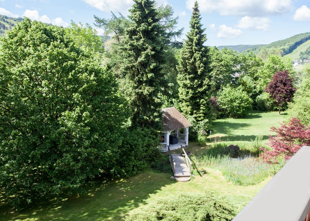 Landhaus Wiesemann Parkappartements & Dependance - Naehe Ettelsberg-Talstation Willingen  Exterior foto